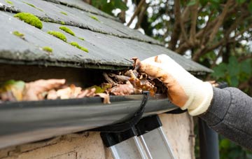 gutter cleaning Iford