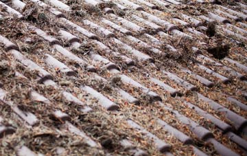 Iford roof cleaning companies