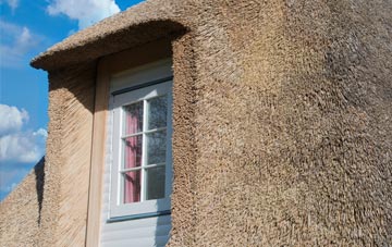 Iford thatch roof disadvantages